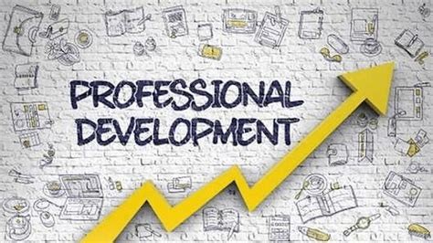 Expert - Professional Development Training